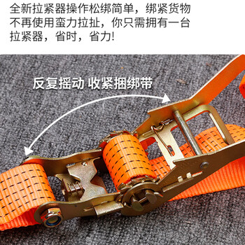 保拉(Paola) 货车紧绳器6米 卡车货物捆绑带收拉紧器捆绑器 车用加宽加厚绷带收紧带货车用的绳子带钩7082