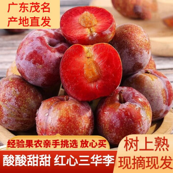 (广东顺丰直发)茂名三华李 信宜钱排银妃三华李子水果新鲜广东省大果