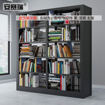 安赛瑞 钢制储物柜 存储展示架 钢制单面双面存储架 双面5层主架 黑色 700278