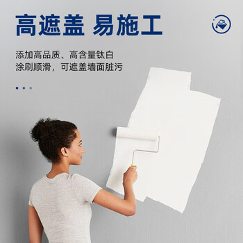三和 低碳高遮盖净白乳胶漆 建筑工程白色内墙面漆 水性油漆 20KG