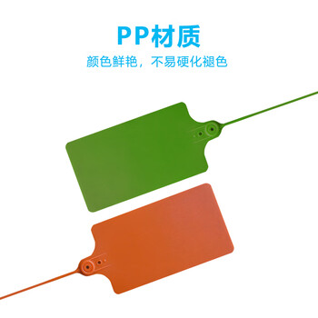 飞尔（FLYER）一次性塑料封条 鞋包衣服防伪扣防调换塑料封条标签扎带100条【25×5.8cm】