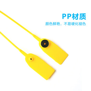 飞尔（FLYER）塑料封条 一次性标签吊牌扎带 防拆防伪扣100条【30×2.26cm下单请备注颜色】