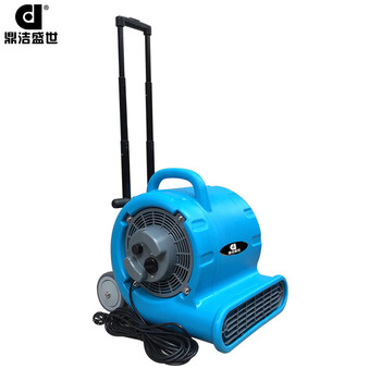 鼎洁盛世 DJ25L商用吹干机