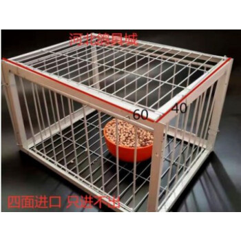 捕鸽子用具天落笼只进不出抓鸽捕鸽神器用品用具鸽笼鸽子套捕四面埋伏