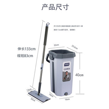 亿丽佳 免手洗平板拖把懒人木地板刮刮乐桶拖布清洁工具墩布干湿两用（鸿运当头） 6件/组