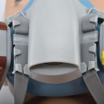 邦固 BG15防尘毒面具半面具(单面具)定做 1个