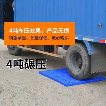 京顿塑料托盘防潮板卡板仓库垫仓板栈板塑胶货垫地台养殖板600*600*50mm