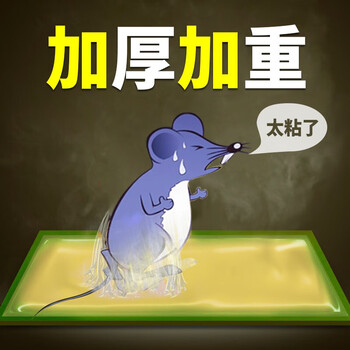 达豪 粘鼠板一不干型粘胶窝老鼠贴捕鼠神器端强力粘板豪华型10张装 