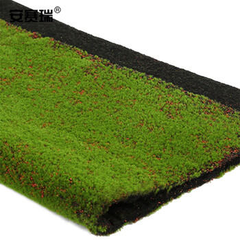 安赛瑞 仿真苔藓 人造草皮仿真草坪 微景观造景青苔绿植 橱窗盆景仿真装饰 红底青苔 510298