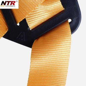 耐特尔NTR BK02款五点式安全带全身式 定位安全带带护腰NFPHBK02 定做 1条