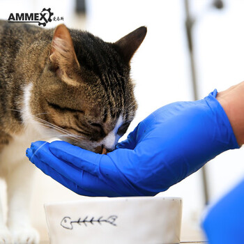 爱马斯（AMMEX）APFNCHD一次性丁腈橡胶手套无粉麻面化学液体 S码-100只/盒