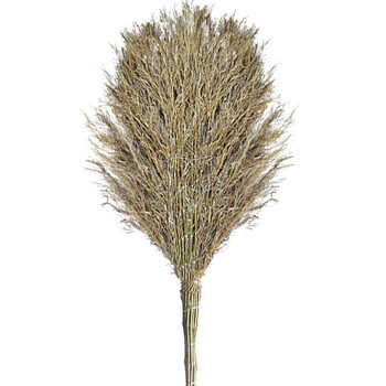 领象 环卫扫把笤帚扫帚 扫马路竹扫把 竹扫帚大扫把高1.7米竹编把10个装