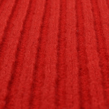雅的 剪门口走廊过道PVC复合底双条纹加密吸尘地毯酒店地垫 深红色 1.2米宽 需要几米数量拍几 /米