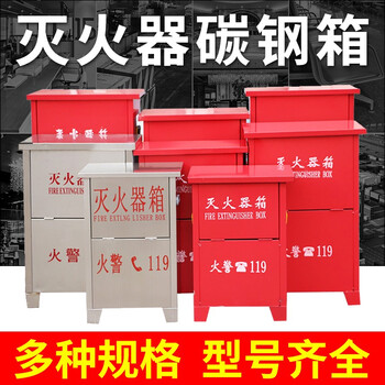 东消 灭火器箱4kg*2ABC干粉2只装4kg公斤办公室商场用消防器材箱