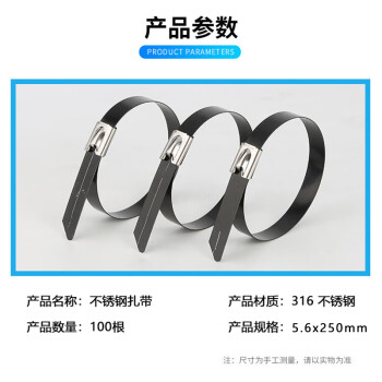 飞尔（FLYER）pvc包塑316不锈钢扎带 自锁式束线扎线带 黑色 5.6×250mm 100根/袋