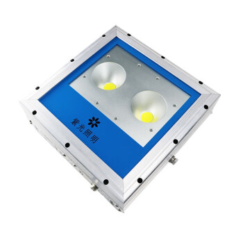 深照紫光GF9180B-L100W LED泛光灯
