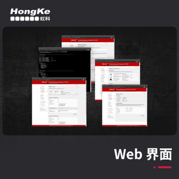 PEAK System Technick 2路CAN FD/CAN转以太网接口，可用于远程传输和诊断 IPEH-004012