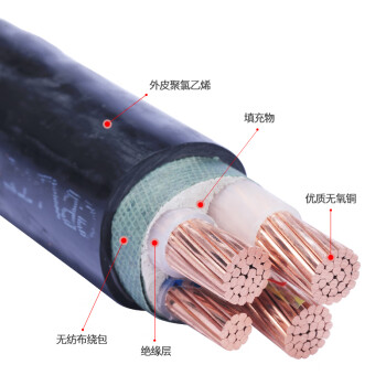 国超电缆 ZC-YJV-0.6/1KV-3*25铜芯国标架空户外防老化3芯电力电缆 1米【现货】