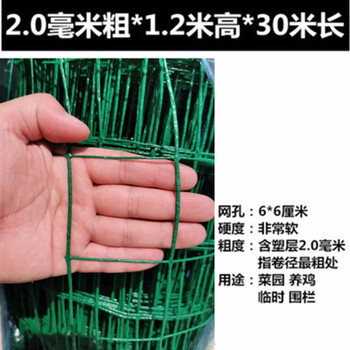 腾驰 荷兰铁丝网 养鸡养殖围栏护栏隔离铁网 6cm孔 2mm粗*1.2m高*30m长