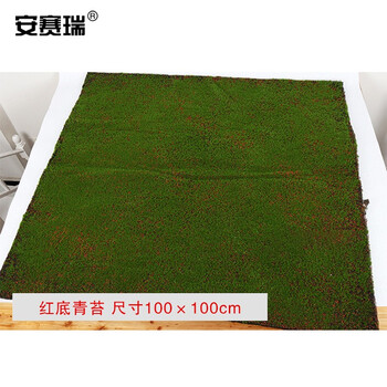 安赛瑞 仿真苔藓 人造草皮仿真草坪 微景观造景青苔绿植 橱窗盆景仿真装饰 红底青苔 510298