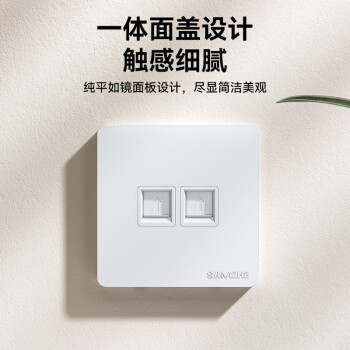 山泽（SAMZHE）电脑插座网线口网络面板 适用电话信息模块 通用超五/六/七类模块加厚86型面板 双口WAN-02