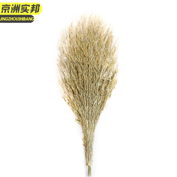 京洲实邦 竹竿扫把10把装 手工竹扫帚竹笤帚物业大扫把环卫JZSB-9291
