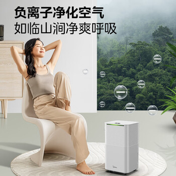 美的 除湿机 CF12BD/N3-OQ1（替换美的,除湿机,CF12BDN7-DN）