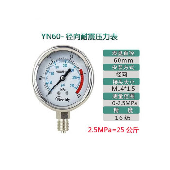 京致 Breidy压力表YN60不锈钢耐震气压表水压表液表压油压力表2.5mpa（定制）