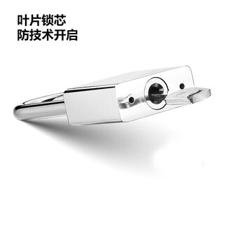 飞尔（FLYER）仿不锈钢叶片锁 户外防水防锈防盗挂锁机箱锁柜门锁【30mm长梁 通开配1个钥匙】10把装