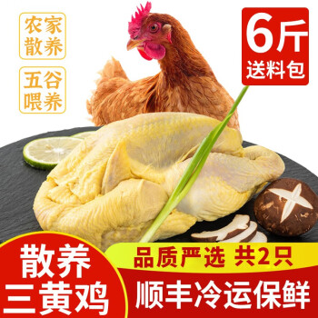  岽鲜 农家散养土鸡 三黄鸡 新鲜整只走地鸡柴鸡 鸡肉生鲜 3kg 共发2只 每只3斤