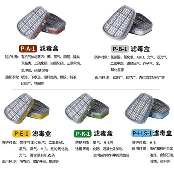 普达 KN95呼吸防护套装 防毒口罩 防醛 FD410 410+P-A-1滤毒盒2个+滤棉2片套装
