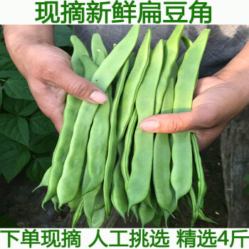 扁豆角新鲜扁芸豆豆角4斤四季豆刀豆新鲜蔬菜农家种植现摘2000g