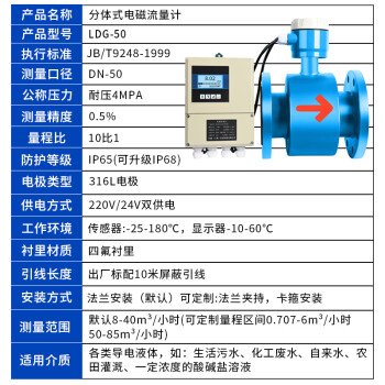 匡建仪表（CONJANT）LDG型分体式电磁流量计 液体污水高精度智能电子数显传感器防腐蚀四氟衬里DN50