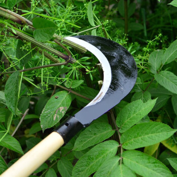 兰诗（LAUTEE）FH-1142 除草工具镰刀割草刀长柄大镰刀农用砍柴刀 长弯头镰刀带柄