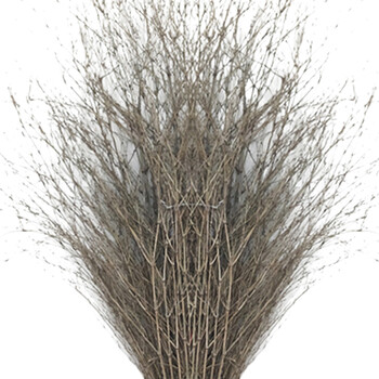 卉营（HUIYING）扫帚 大扫帚 竹制 2000*800mm /把 可定制