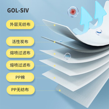 胜丽GM9541耳戴无阀活性炭防护口罩灰色均码50片装