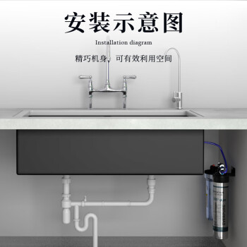 爱惠浦（Everpure）厨房餐饮用水 前置过滤 直饮0耗电0废水 净水器Insurice PF Single-i5002-plus