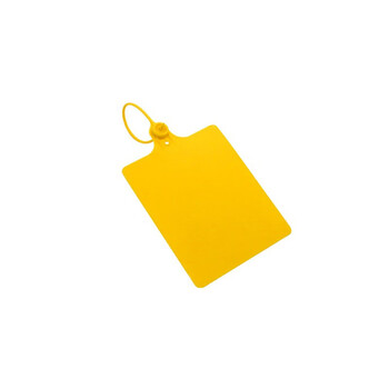 飞尔（FLYER）物流大吊牌封条扎带 黄色封签扎带 100个装【58×100mm】