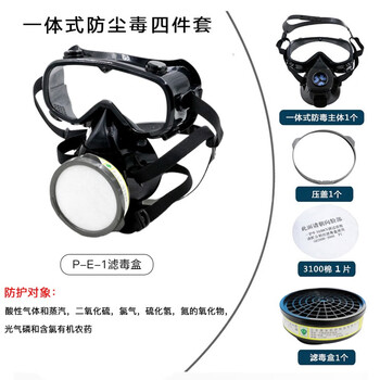 一护 防毒防尘护目套装 防异味防喷溅面具面罩 防酸性气体蒸气 P-E-1(CA-2)四件套