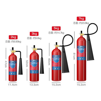 蓝炎 二氧化碳灭火器 机房精密仪器气体手提式3公斤干冰灭火器2具装箱子组合 消防器材 MT/3