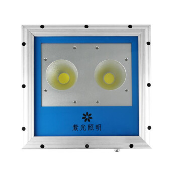 深照紫光GF9180B-L100W LED泛光灯