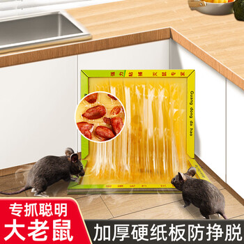 达豪粘鼠板一超强力老鼠贴窝家用捕鼠神器端加大加厚鼠板5张