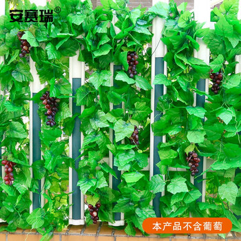 安赛瑞 仿真葡萄藤条（20片叶）仿真葡萄叶花藤条绿植塑料葡萄花藤蔓长2.3m约叶Φ8.5cm 12条 530808