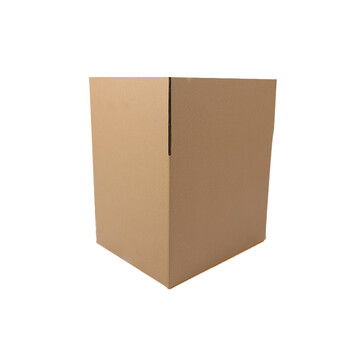 飞尔（FLYER）搬家纸箱 打包发货纸箱 包裹收纳箱【450x350x250mm】