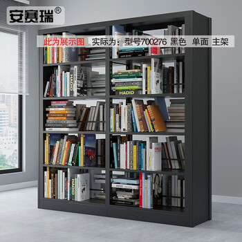 安赛瑞 钢制储物柜 存储展示架 钢制单面双面存储架 单面5层主架 黑色 700276