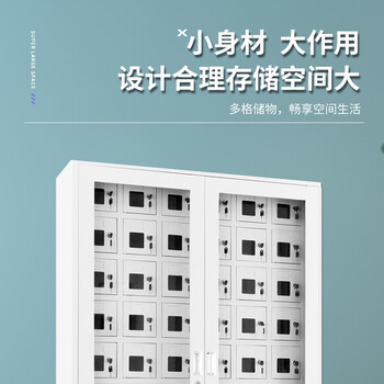 张氏艺佳 手机对讲机充电柜多门存放柜储物柜保管 1门豪华外玻