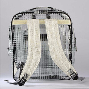 盛富永 PVC无尘包背包透明无尘包网格静电工具包电脑包 长35*宽40*高20cm