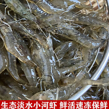 小河虾淡水新鲜鲜活小白虾小土虾小明虾冰鲜 蜜鲜湾 白米虾3-5厘米250