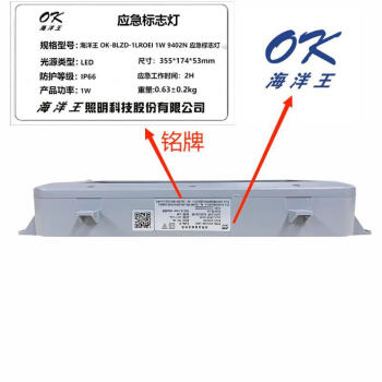 海洋王 OK-BLZD-1LROE I  1W 9402N 应急标志灯 355*174*53mm