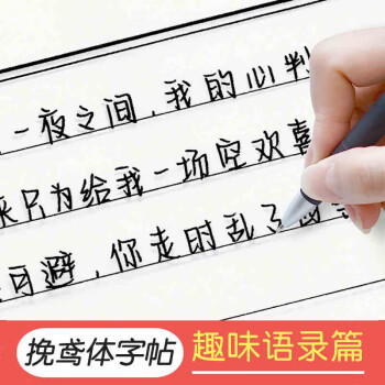 游居敬亭轩挽鸢体手写字帖成人漂亮楷书行楷行书硬笔书法练字本临摹练